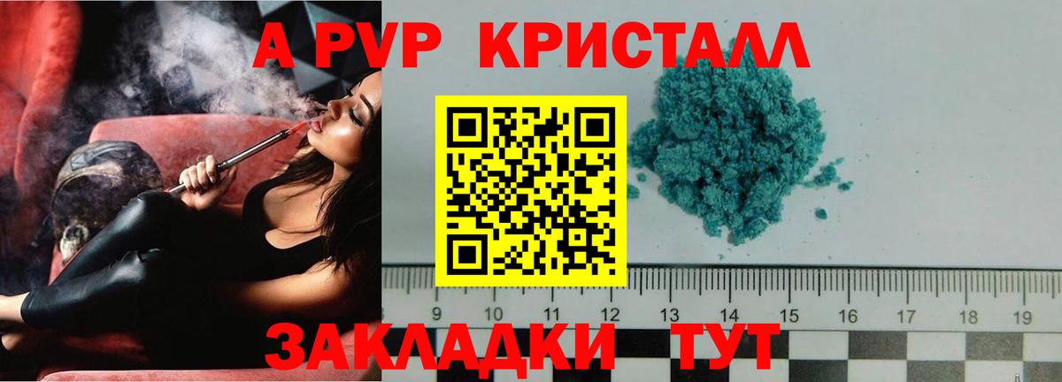Альфа ПВП СК Светлоград