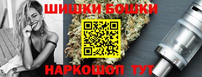 СК Новодвинск