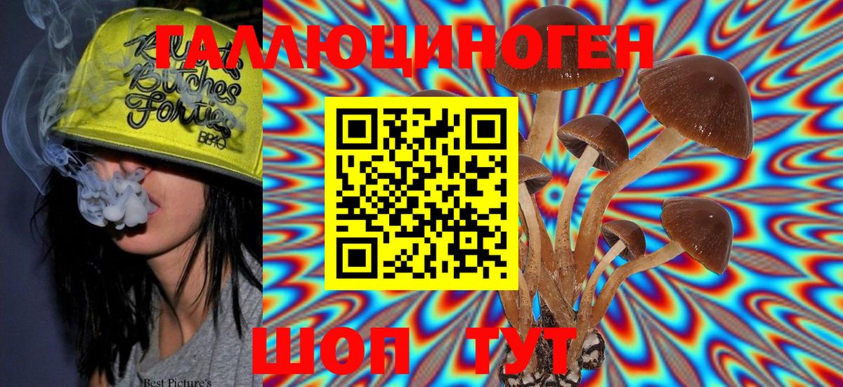 Галлюциногенные грибы Psilocybe Светлоград