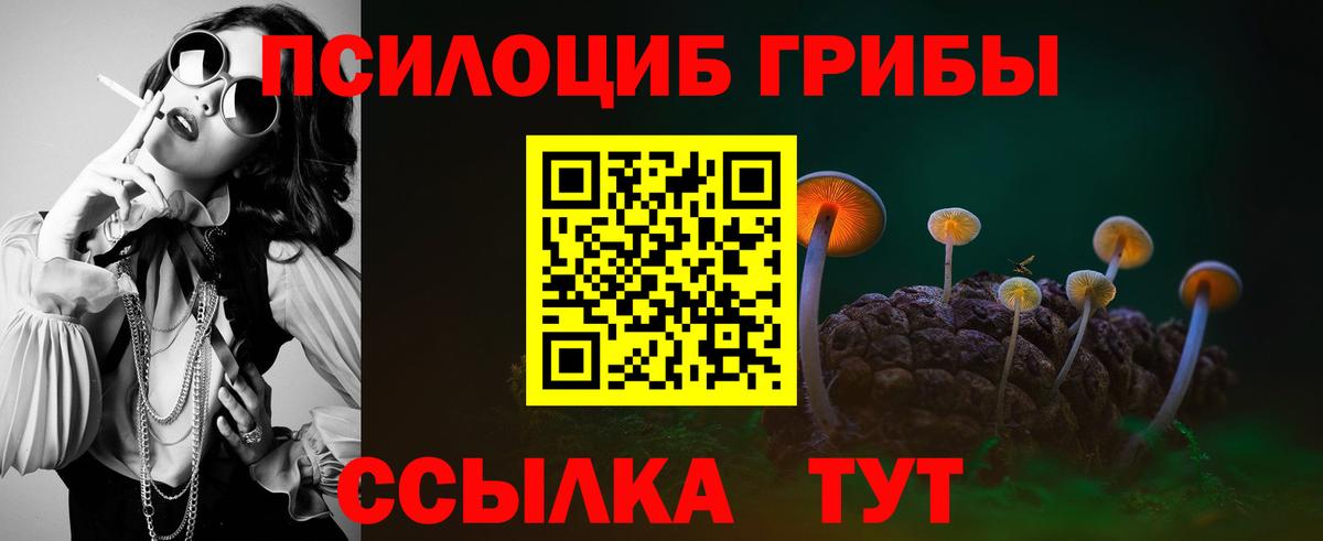 Светлоград  Галлюциногенные грибы Psilocybine cubensis  Вход с VPN 